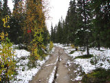 Trail 2