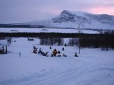 Dogsleds 1