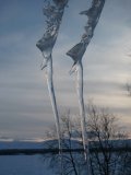 Icicles 1