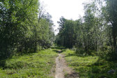 Trail 2