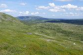 Reindeer-watching hut 1