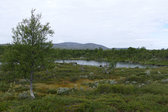 Tarn 28