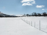 Reindeer fence 1