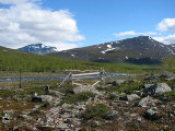 Reindeer fence 1