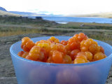 Cloudberries 1