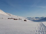 Tarfala research station 2