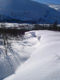 Snowdrift 1