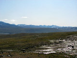 Sarek 1