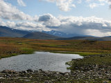 Sarek 1