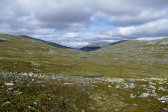 Tronndalen 7