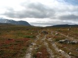 Kungsleden 1