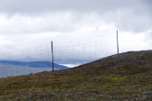 Reindeer fence 3