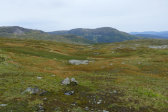 Rovtjentjarra & Drrsvalen 2