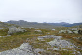 Fjelds 6