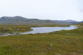 Tarn 9