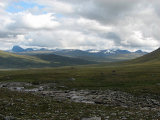 Sarek 6