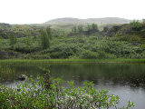 Tarn 11