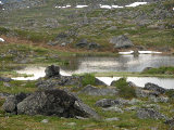 Tarn 2