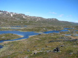 Tarns 2