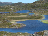 Tarns 3