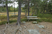 Bench 1