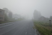 Fog 1