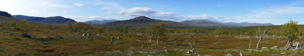 Panorama 3