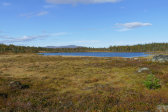 Tarn 3