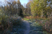 Trail 1