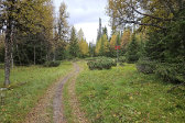 Trail 8