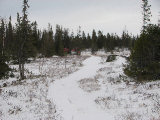 Trail 5