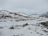 Reindeer-watching hut 1